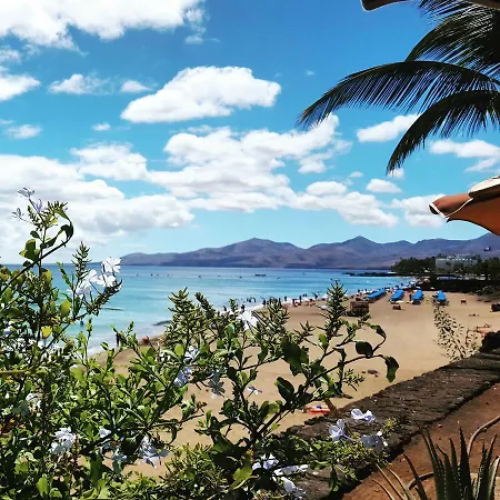 Apartamento Albatros *